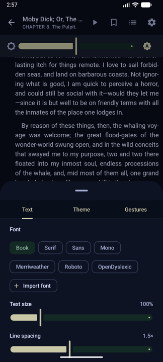 Text settings: font choices including OpenDyslexic, text size and line spacing